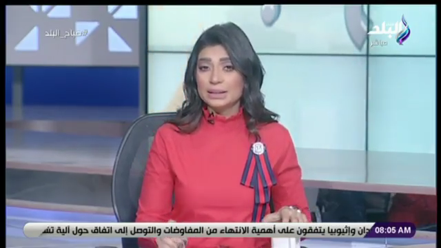 الاعلامية لميس سلامة الاعلامية لميس سلامة