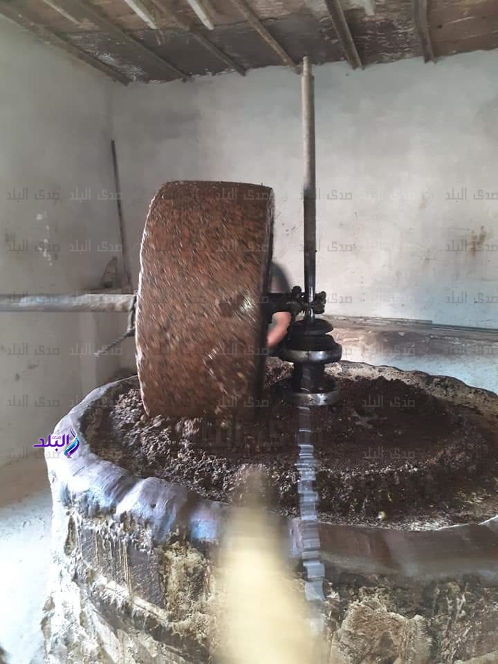 عصر الزيتون