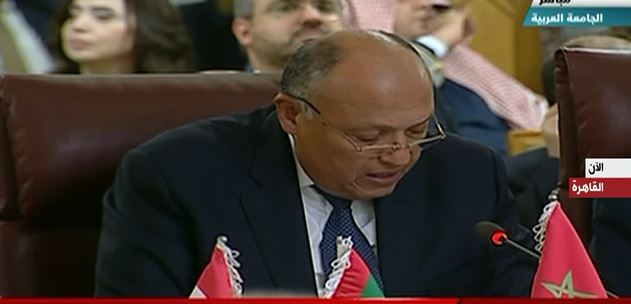 سامح شكرى 
