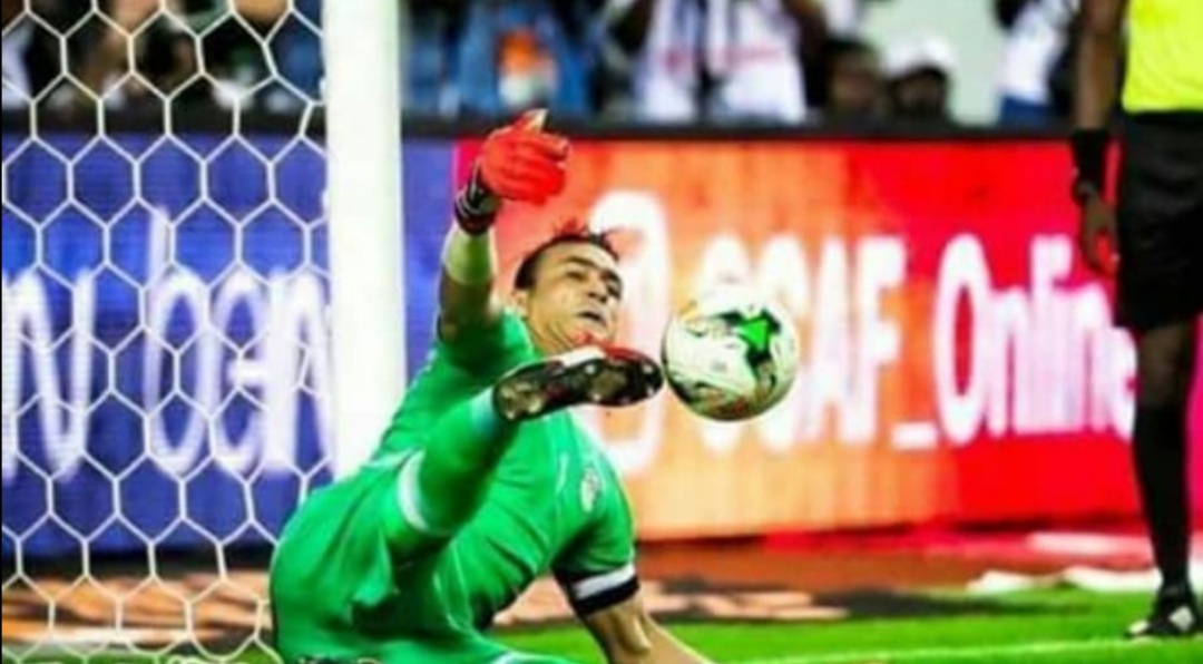 عصام الحضري  عصام الحضري