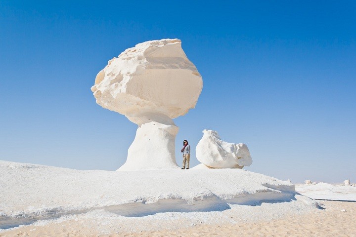 الوادى الجديد 