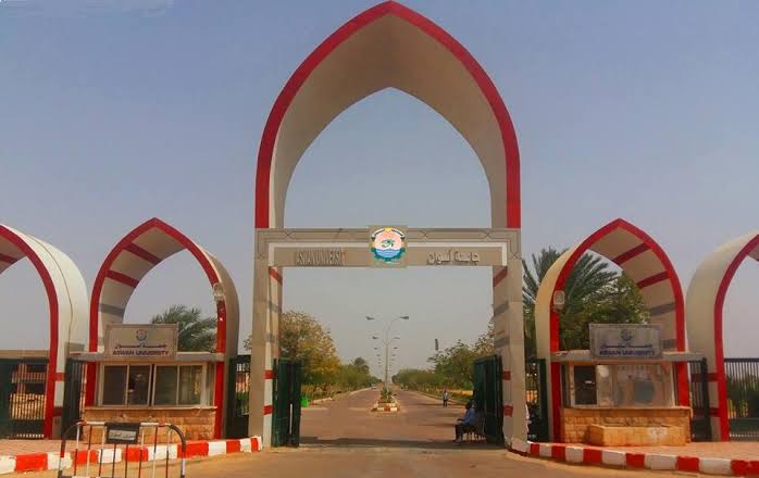 جامعة أسوان