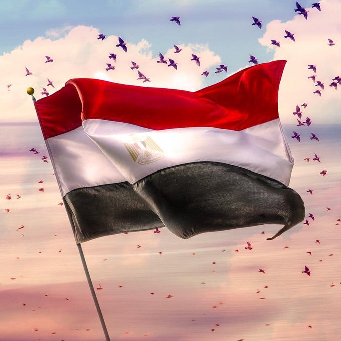 علم مصر يرفرف 