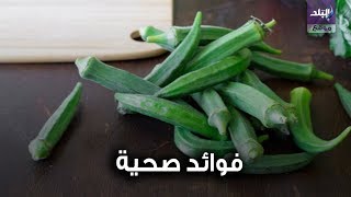 البامية