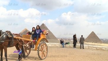 اسر شهداء الشرطة 