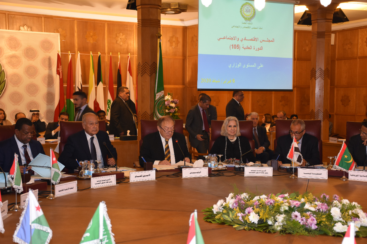 جامعة الدول العربية 