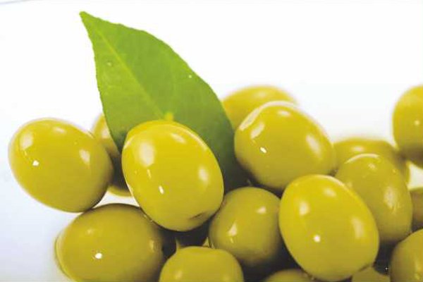 مصر الأولى عالميا في إنتاج زيتون المائدة