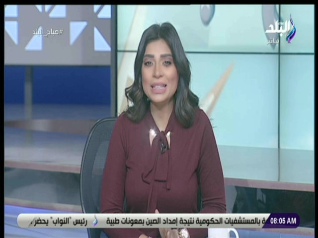 الاعلامية لميس سلامة