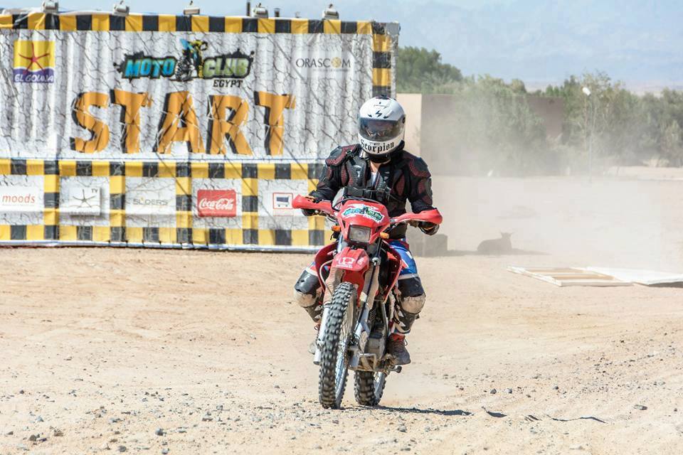 الدراج المصري علي عبده