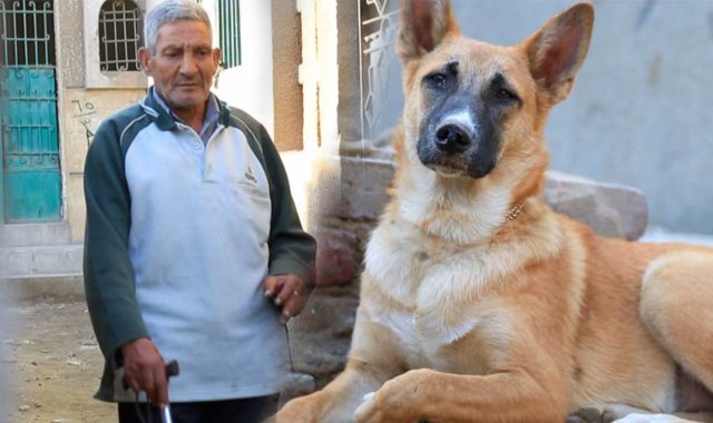 حدوتة ولا في الأفلام..عم عاشور يعيش بعيون الكلب "شيكو"