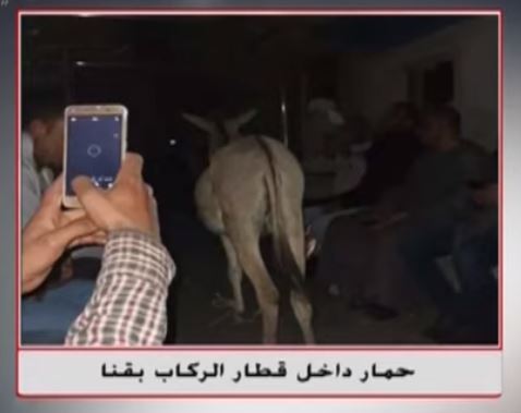 صورة الحمار داخل القطار