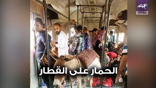 حمار داخل قطار 