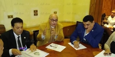 رئيس الغد يلتقي وفد تنسيقية الأحزاب