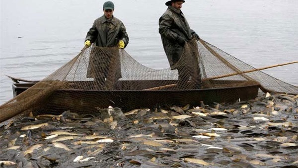 صيد الأسماك