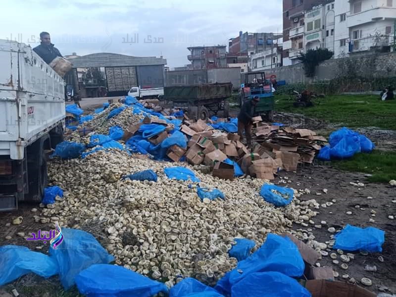 إعدام ٢٢,٥طن خرشوف وبامية منتهية الصلاحية إعدام ٢٢,٥طن خرشوف وبامية منتهية الصلاحية