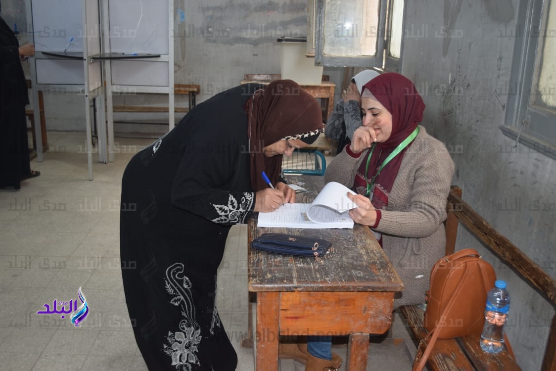 انتخابات الجيزة
