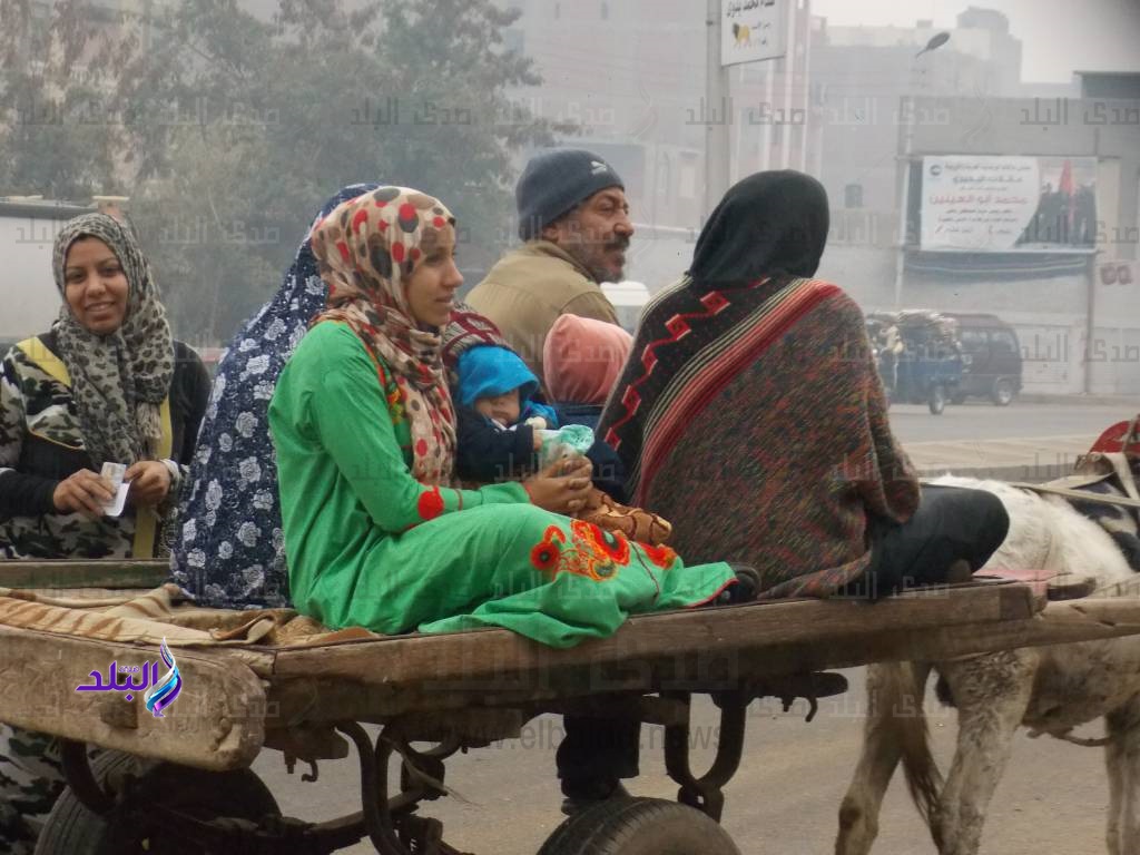 انتخابات الجيزة