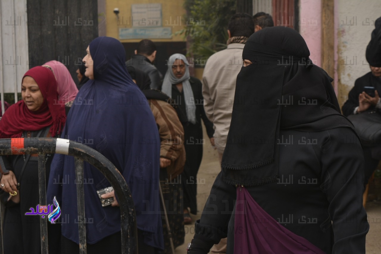 انتخابات دائرة الجيزة التكميلية 