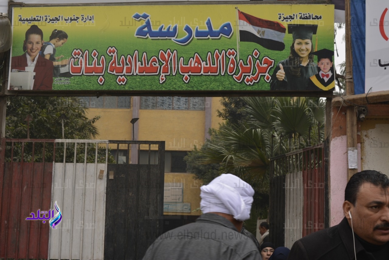 انتخابات دائرة الجيزة التكميلية 