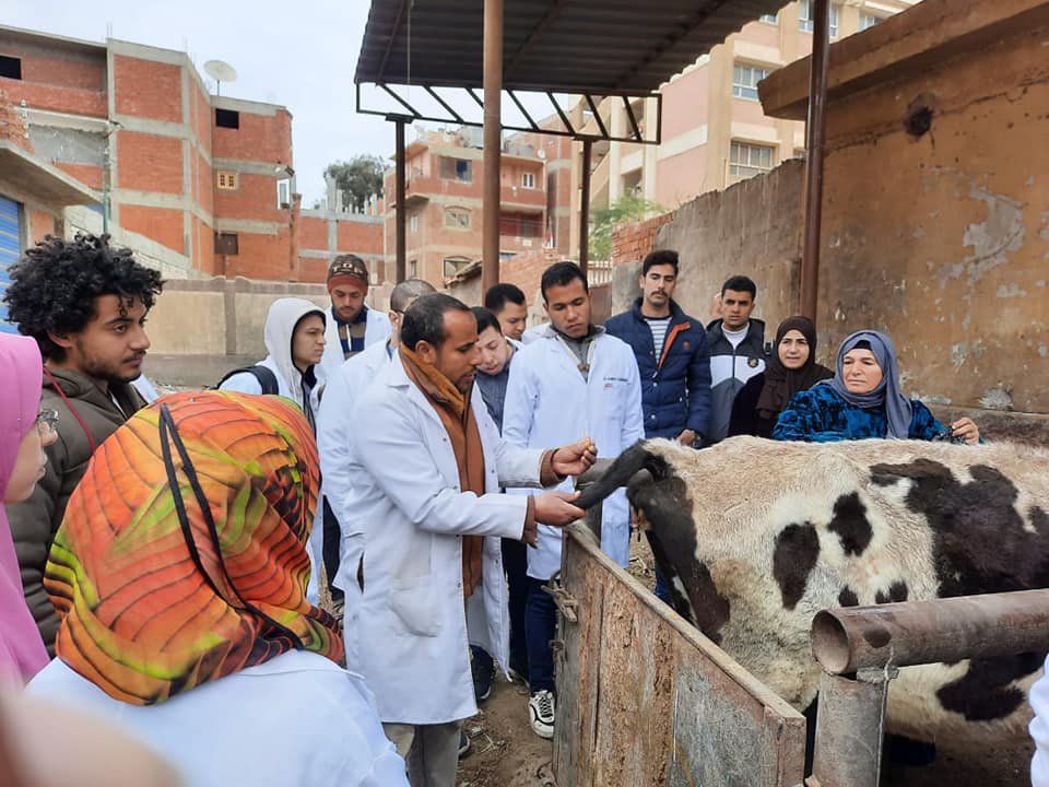  قافلة بيطرية 