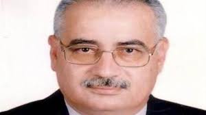 اللواء حسن ناجي، نائب رئيس حزب "الحرية"