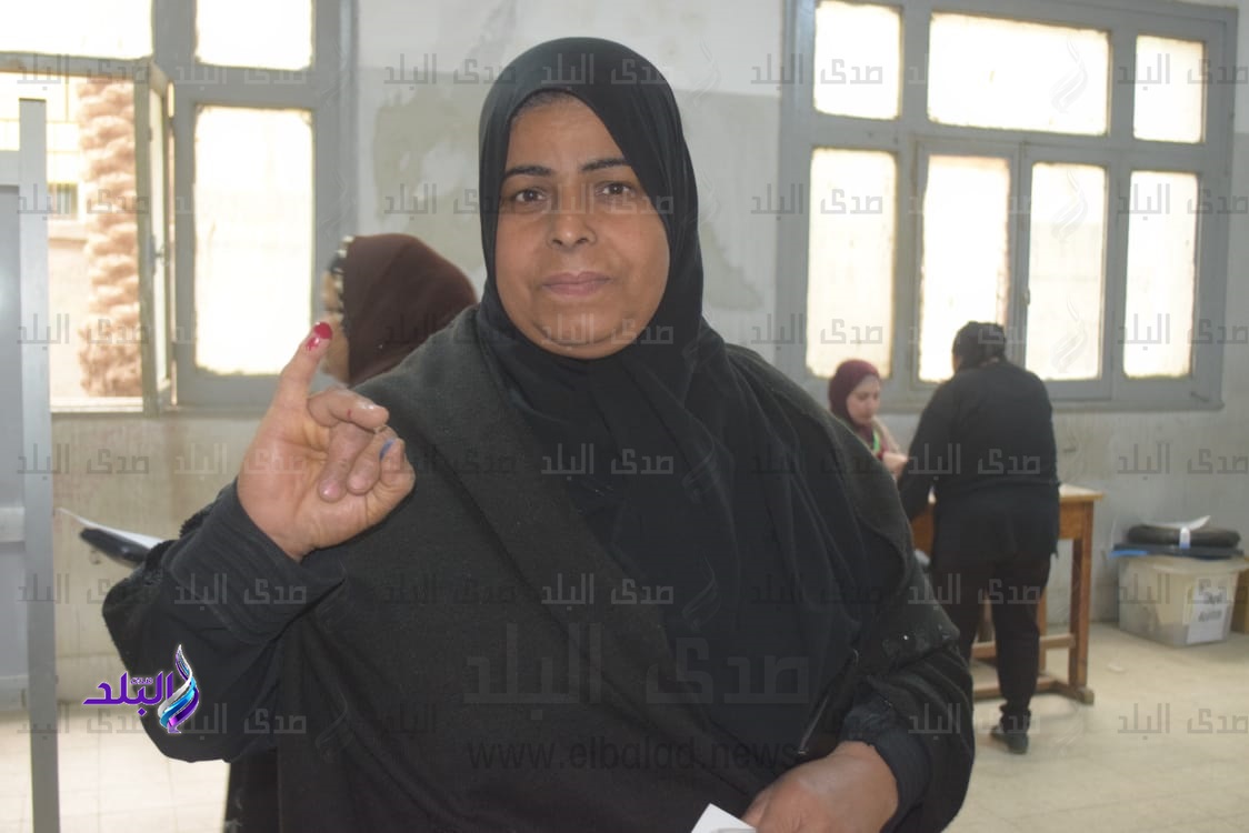 انتخابات الجيزة