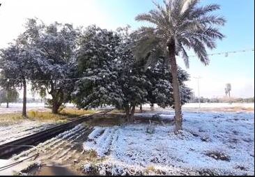 الثلوج ببغادا