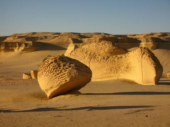 وادي الحيتان