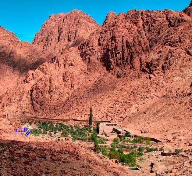 حكاية وادي الأربعين بسانت كاترين 