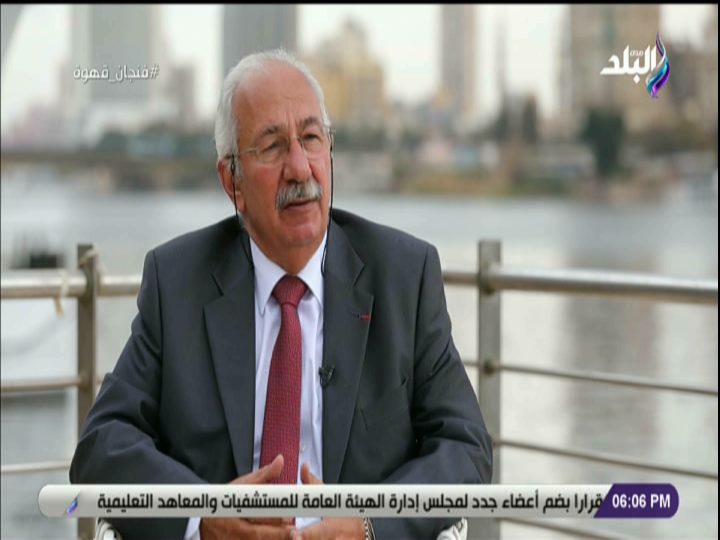 المؤرخ على الحفناوي