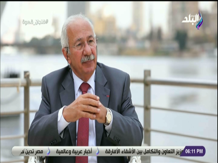  المؤرخ على الحفناوي