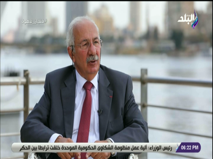 المؤرخ على الحفناوي
