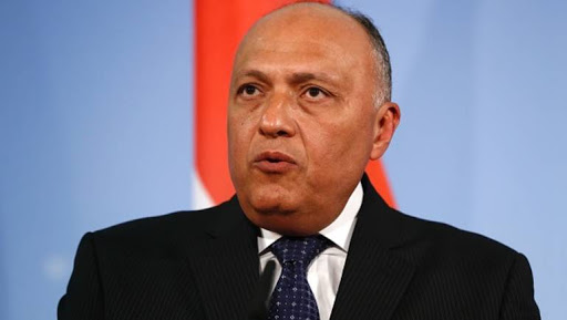 سامح شكري وزير الخارجية 