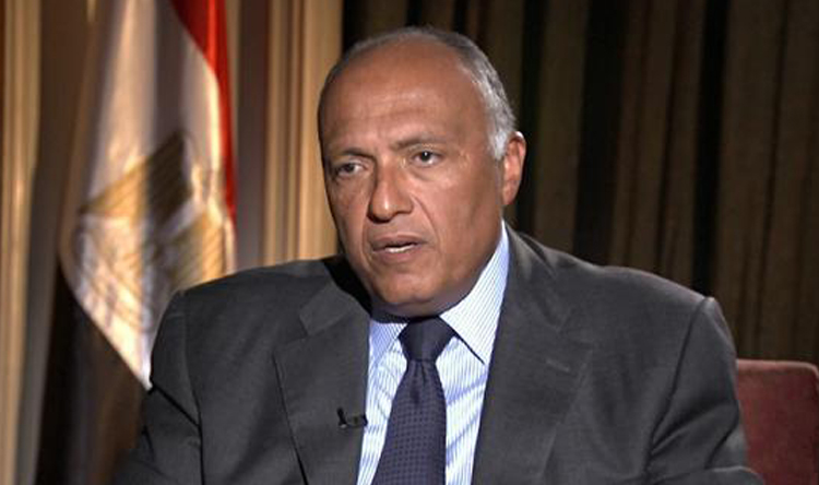 سامح شكري