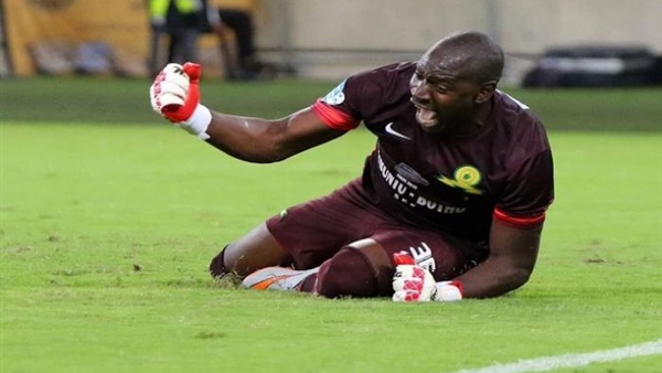 أونيانجو حارس صن داونز