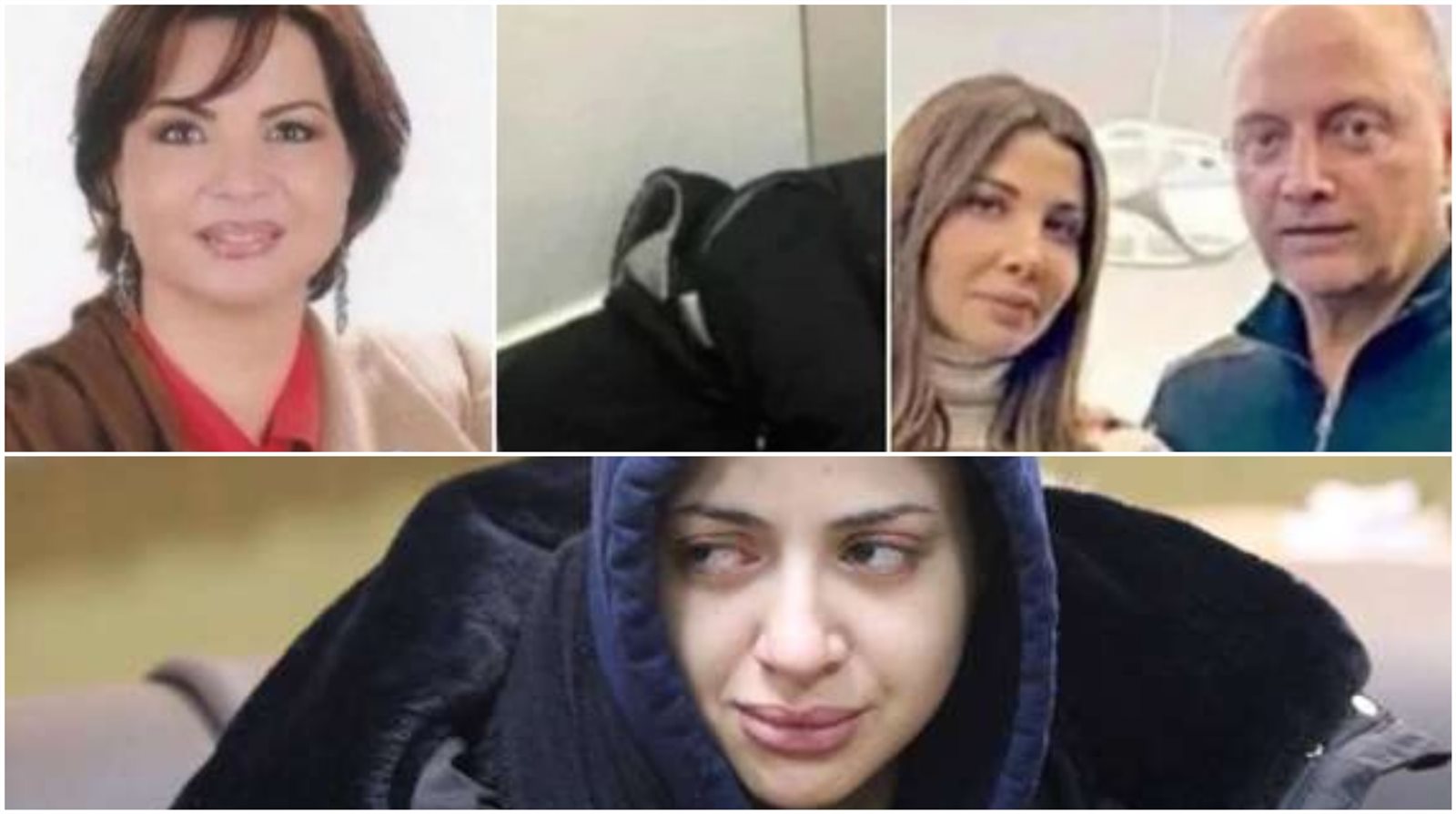 أخبار الفن