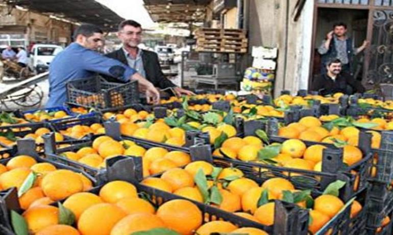 مصر المركز الأول في تصدير الموالح