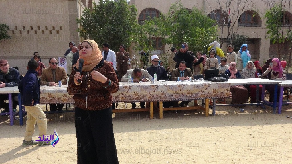 جامعة المنيا
