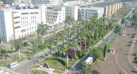 جامعة المنصورة 