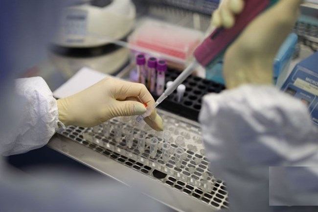 حقيقة وصول فيروس كورونا لـ فلسطين