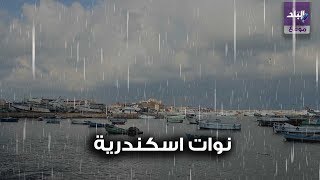 نوات الاسكندرية 