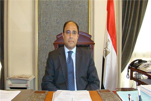 السفير أحمد أبو زيد
