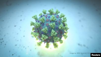  فيروس كورونا