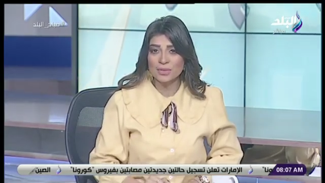 الاعلامية لميس سلامة