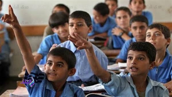 المجموعات الدراسية