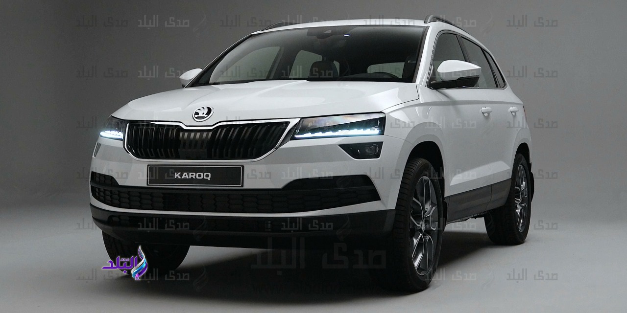 Karoq 2020