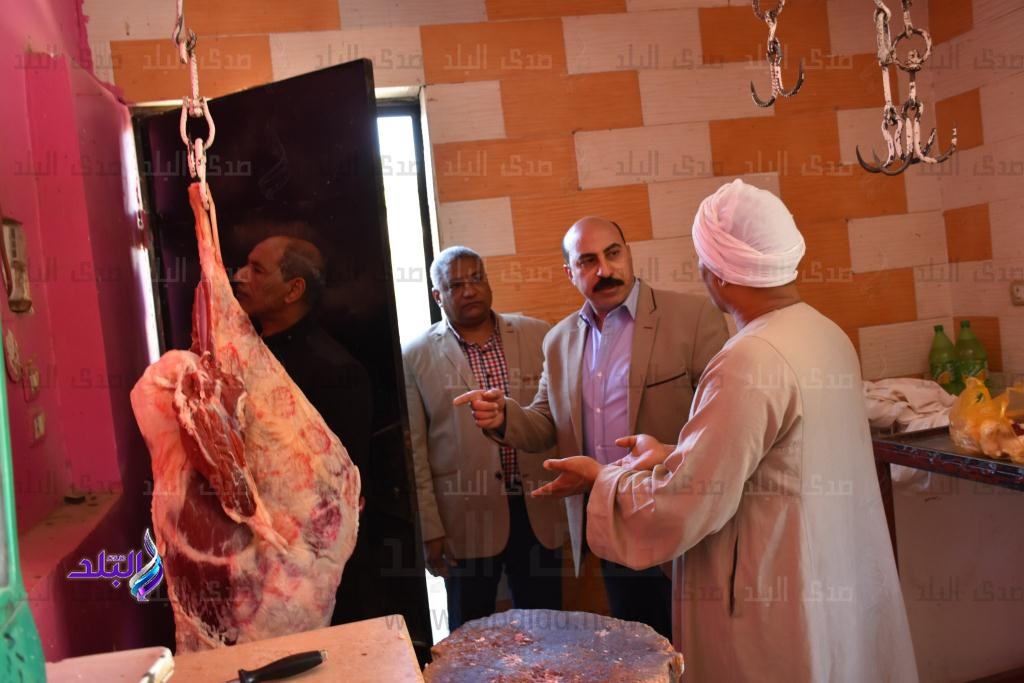 محافظ اسوان