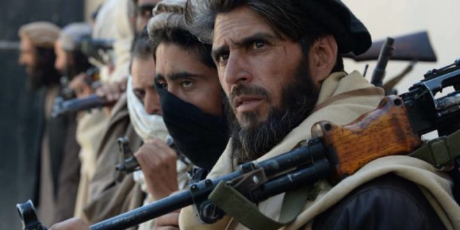 حركة طالبان