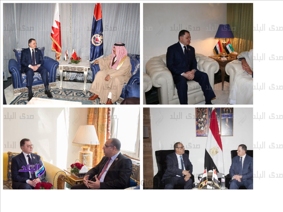 وزيرالداخلية ونظرائه العرب 