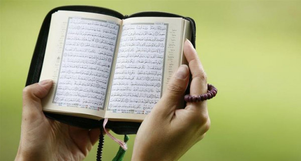 عمار البيت